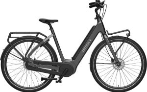 Cortina E-Common Fam Int L50 Lage instap 2025