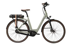 Qwic Premium MN7D+ Dames 2021