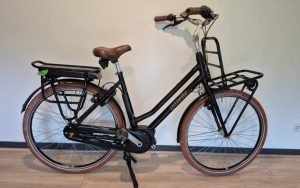 Gazelle Mis grace