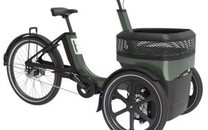 Vanraam Thuja - Preset Smooth Lage instap 2025