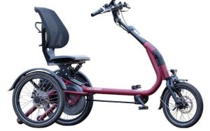 Van Raam Easy Rider Compact Lage instap 2026